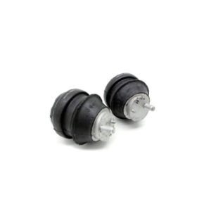 Caprice / Lumina Engine Mounts (2005-2006)