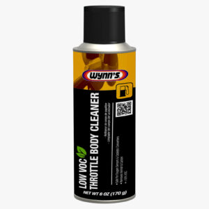 Air Intake and Carburetor (Throttle) Cleaner